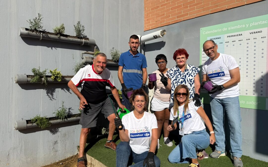 Voluntariado Corporativo Carrefour